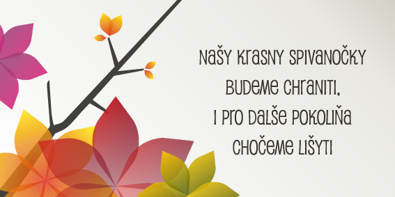 kosice_bickova102012